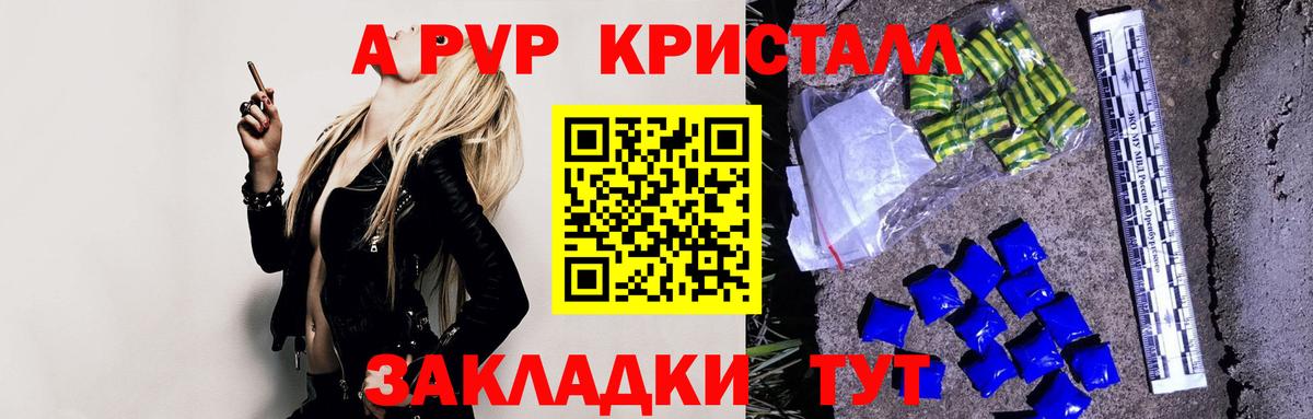 A PVP крисы CK Луга