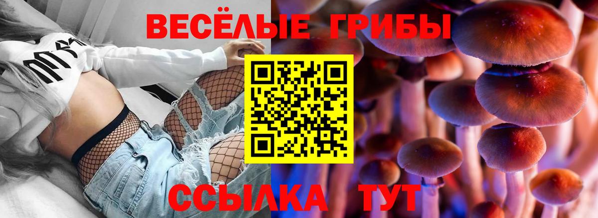 Галлюциногенные грибы GOLDEN TEACHER  Псилоцибиновые грибы прущие грибы  Вход с VPN  Луга 